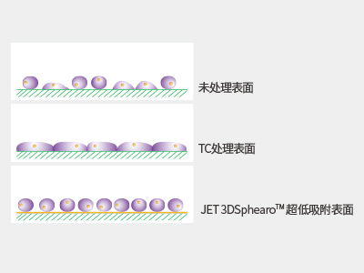 超低吸附表面具有共價(jià)結(jié)合的水凝膠層，具有極強(qiáng)的抗蛋白吸附性和抗細(xì)胞貼壁性，可有效抑制細(xì)胞附著