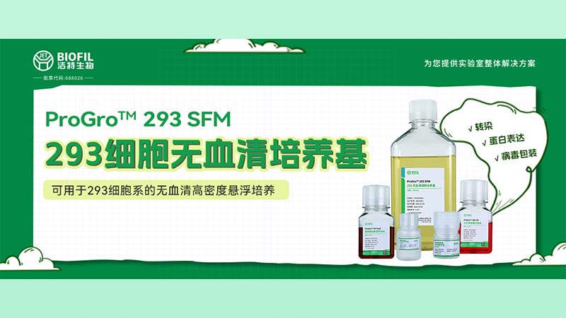 新品上線(xiàn) | 不會(huì)還有人養(yǎng)不好293細(xì)胞吧？！
