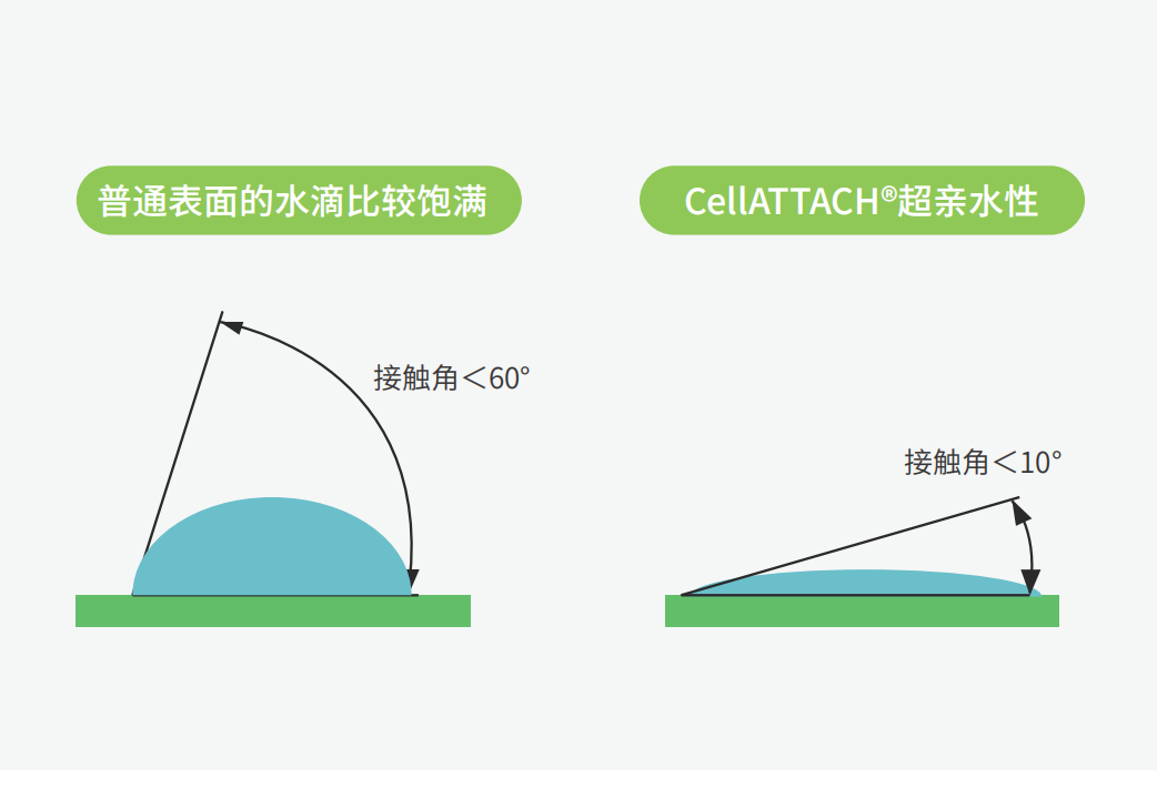獨(dú)特的超親水表面處理技術(shù)，能為細(xì)胞提供更好的吸附性，促進(jìn)細(xì)胞快速貼壁生長，提高產(chǎn)量
